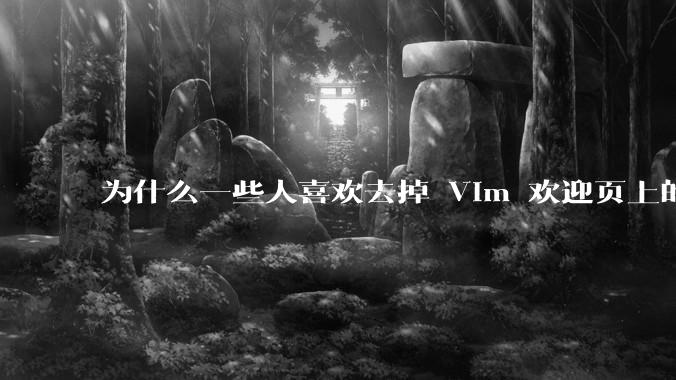 为什么一些人喜欢去掉 Vim 欢迎页上的“帮助乌干达的可怜儿童”？
